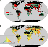 Global soil carbon map